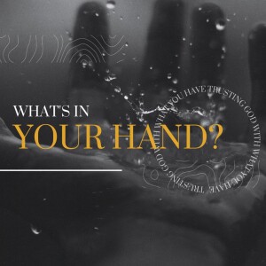 #79 - What’s in Your Hand - Part 1