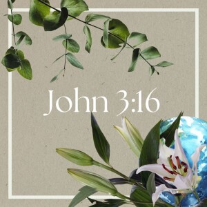 #259: ”Through The Bible in a Year” Day #133 John 3:16