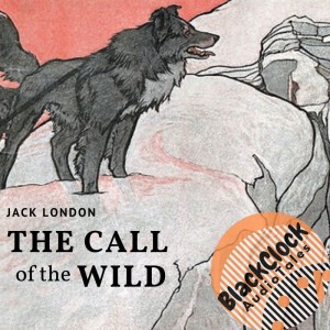 BCAT344- The Call of the Wild part 4