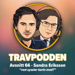 Avs. 66 - Sandra Eriksson ”vad sysslar karln med?”