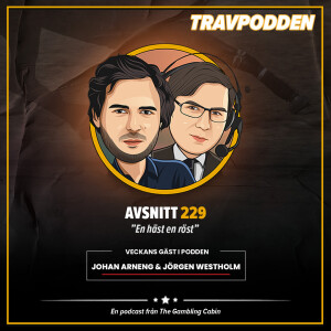 Avs. 229 - ”En häst en röst”