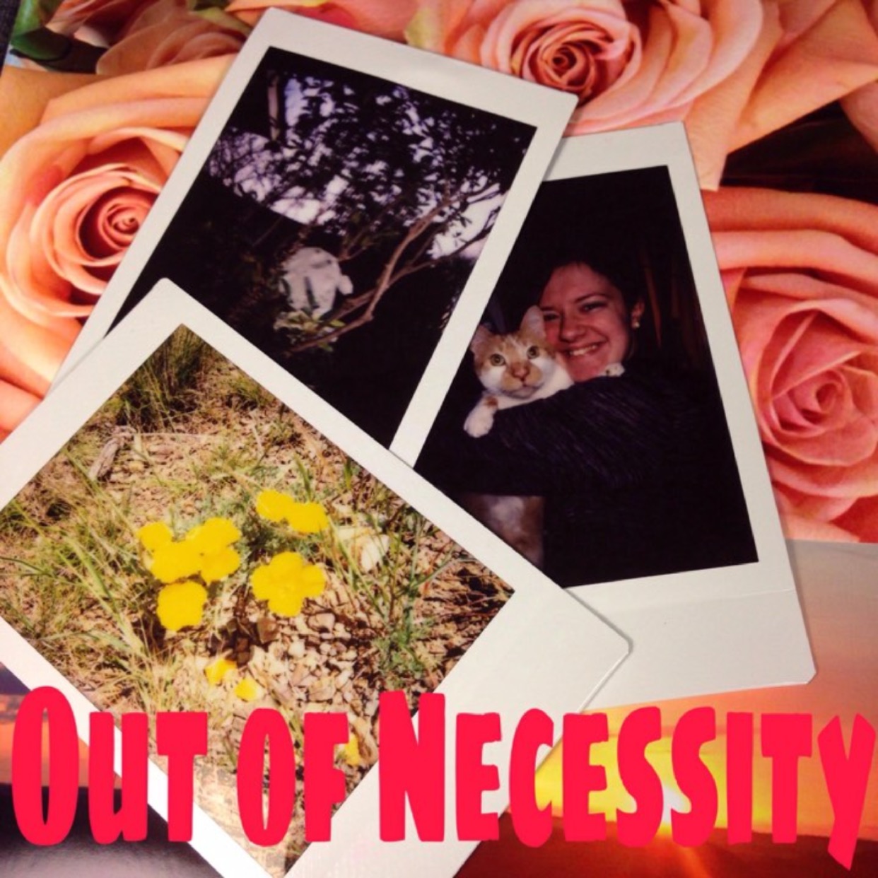 Out of Necessity - Ep. 2: Movies, TV, books and more.