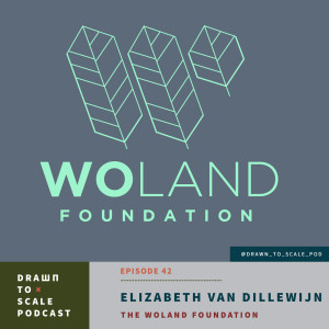 #42 - Elizabet Van Dillewijn: The Woland Foundation