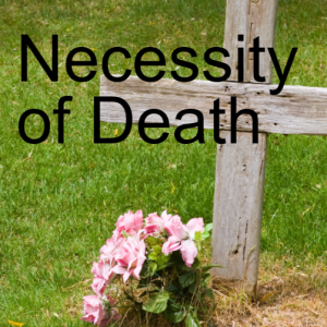 14. TheNecessity of Death (Romans 7:1-13)