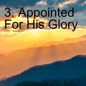 3. Appointed For His Glory: Ephesians 1:7-12