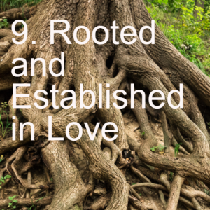 9 Rooted and Established in Love Ephesians 3:14-21