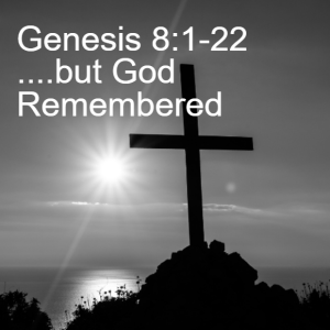 Genesis Chapter 8:1-22 but God Remembered