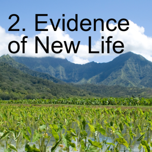 2-The Evidence of New Life (1 Thess 1:4-10)