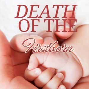 14. Death of the First Born (Exodus 12:29-51)