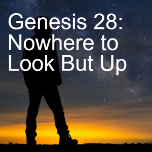 Genesis 28:Nowhere to Look But Up