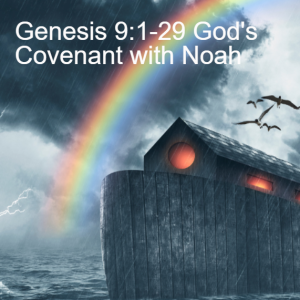 Gen 9:1-29 God’s Covenant with Noah