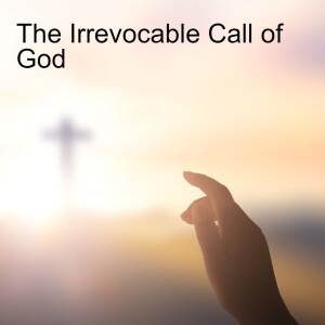 24. The Irrevocable Call of God (Romans 11:17-36)