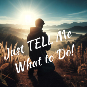 Just Tell Me What to Do! Part 1 ( 2 Samuel 18:1-4)