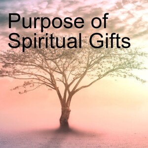 3. Purpose of Spiritual Gifts (1 Corinth 12:12-26)