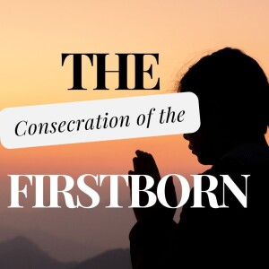 15. The Consecration of the Firstborn (Exodus 13:1-22)