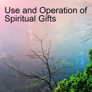 4. A-The Use and Operation of Spiritual Gifts ( I Cor 12:1-11)
