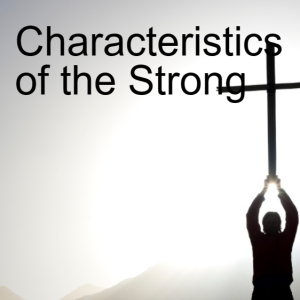 30. The Characteristics Of The Strong (Romans 15:1-13)