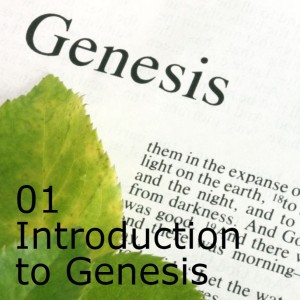 01 Introduction to Genesis