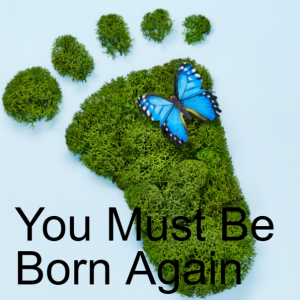 4. You Must Be Born Again (John 3:1-21)