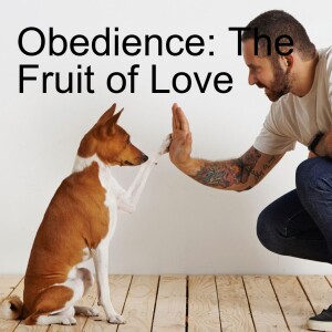 05. Obedience: The Fruit of Love (1 John 2:3-6)