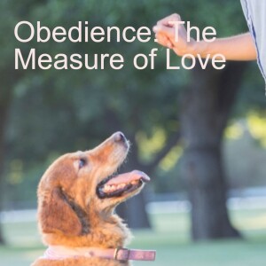 27. Obedience: The Measure of Love (John 14:15-31)