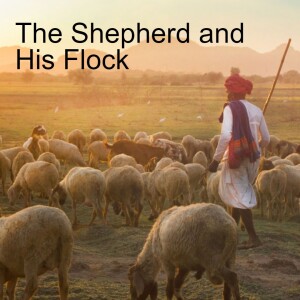 19. The Shepherd and His Flock (John 10 1-42)