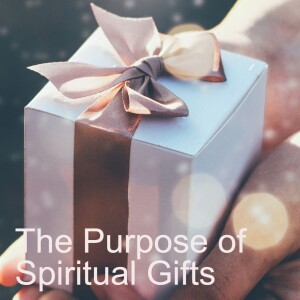 2.	Part 2: The Purpose of Spiritual Gifts - (1 Cor 12:12-26)