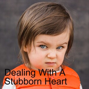 08. Dealing with a Stubborn Heart (Exodus 7:1-25)