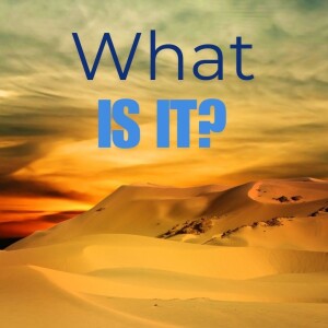 18. What is it? (Exodus 16:1-36)