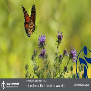 Questions That Lead to Wonder (Video)