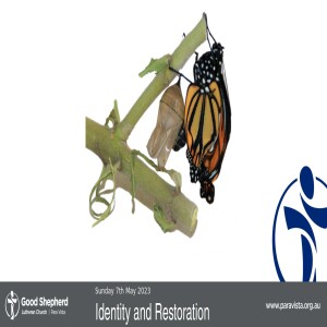 Identity and Restoration (Video)