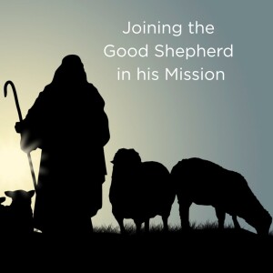 Joining the Good Shepherd in His Mission (Video)
