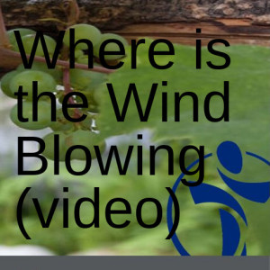 Where is the Wind Blowing (video)
