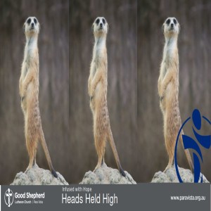 HEADS HELD HIGH (VIDEO)