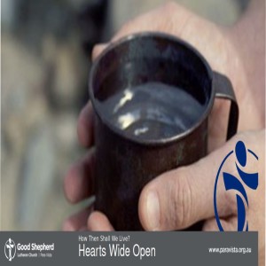 HEARTS WIDE OPEN (VIDEO)