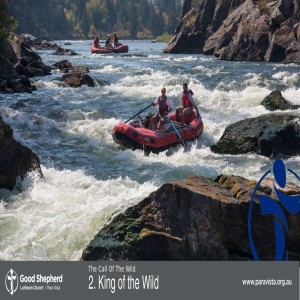King of the Wild (Video)
