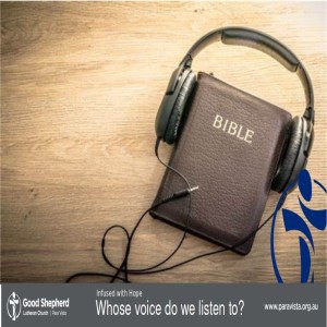 Whose Voice Do We Listen To? (VIDEO)