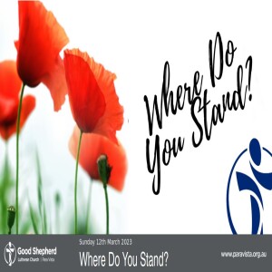 Where Do You Stand? (Video)