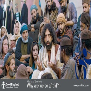 Why are we so afraid? (Video)