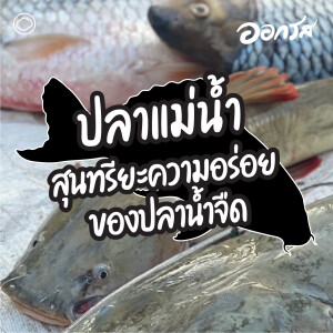 EP. 103 ปลาแม่น้ำ - สุนทรียะความอร่อยของปลาน้ำจืด - The Cloud Podcast