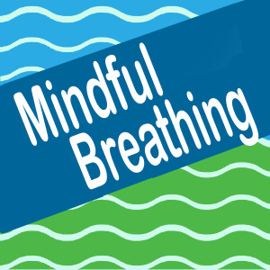 The Power of Mindful Breathing