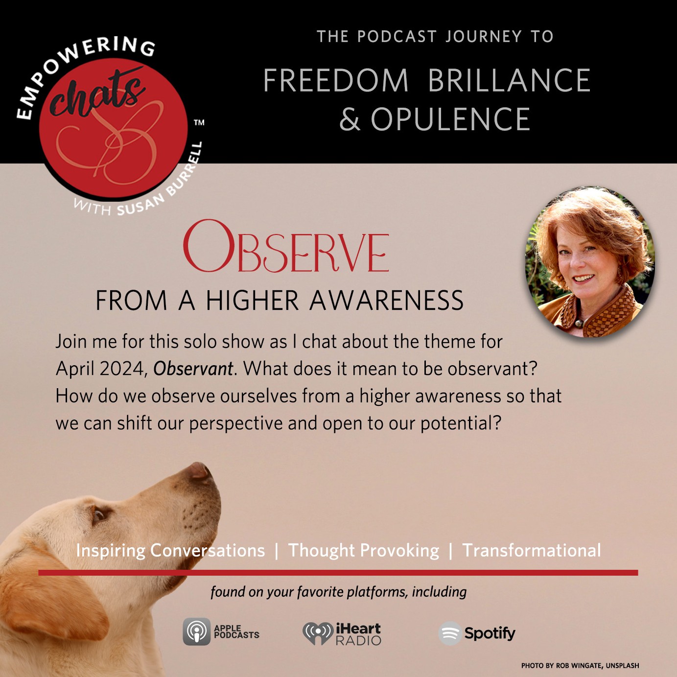 Empowering Chats with Susan Burrell