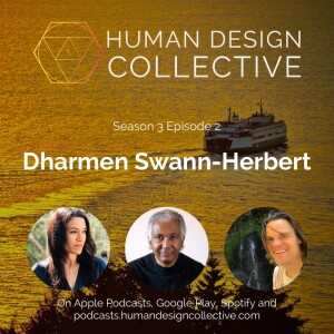 Dharmen Swann-Herbert on his process, the system as a map, direct experience, the mind, deconditioning, and the uniqueness of the Reflector