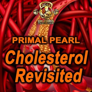 Primal Pearl - Cholesterol Revisited