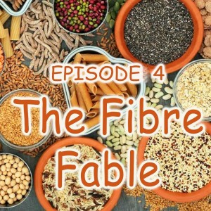 Episode 4 - The Fibre Fable