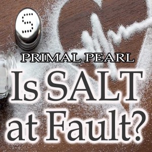 Primal Pearl - Is Salt at Fault?