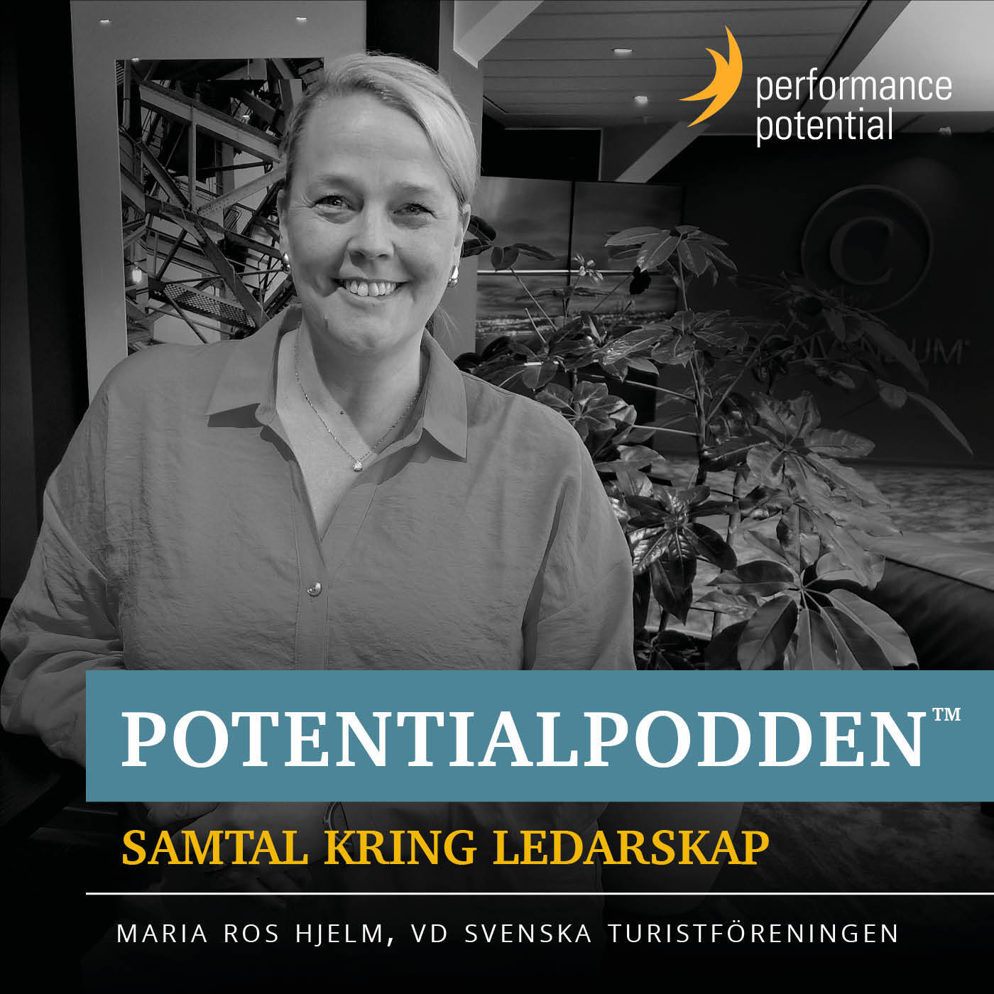 PotentialPodden™