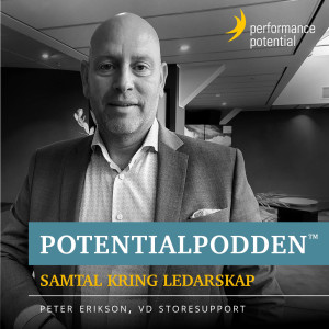 Samtal med Peter Erikson, VD Storesupport