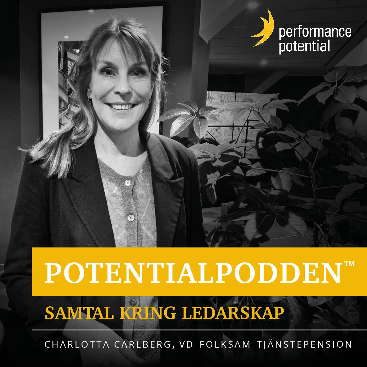 PotentialPodden™
