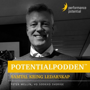 Samtal med Peter Mellin, VD Sodexo Sverige